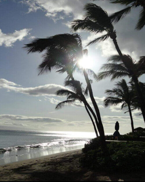 Maui Img 2