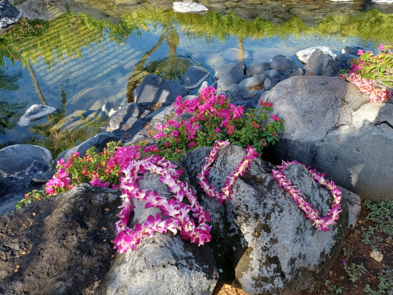 Hawaii